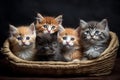 Five small multicolored cats kittens sit in a fur brown pet basket Generative AI.