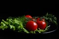 Five small, red, round tomatoes with lettuce, dill, arugula and other greens Royalty Free Stock Photo