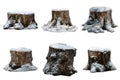 Five Snow-Covered Tree Stumps Isolated on Transparent Background Royalty Free Stock Photo