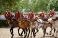 Five spanish horses with traditional harness