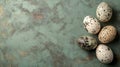 Five speckled quail eggs on a green background Royalty Free Stock Photo