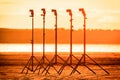 Five speedlights stand on lightstands on the beach in the sunset Royalty Free Stock Photo