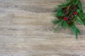 Pinecones and red berries on a spruce bough with copy space