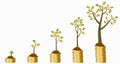 Five stages of growing money tree Royalty Free Stock Photo