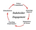 Stages in Stakeholder Engagement