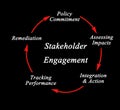 Stages in Stakeholder Engagement