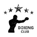 Five Stars. Boxing club. Demonstration of combat skills. Direct hit. Silhouette. Athlete in training