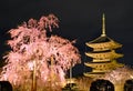 Five-Storied Pagoda and cherry trees at To-ji Temple Royalty Free Stock Photo