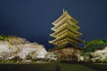 Five-Storied Pagoda and cherry trees at To-ji Temple Royalty Free Stock Photo