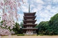 Five Storied Pagoda with Japan cherry blossom in Daigoji Temple Royalty Free Stock Photo