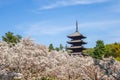 Five storied pagoda of Ninnaji temple