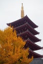 Five storied Pagoda in Sensoji Asakusa, Tokyo