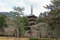 Five story pagoda of Daigo temple