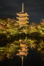 Five-story pagoda of TÃÂ-ji, a National Treasure