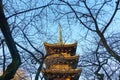 Five-story pagoda at Ueno Toshogu shrine in evening .Tokyo, Japan.