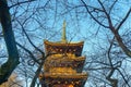 Five-story pagoda at Ueno Toshogu shrine in evening Royalty Free Stock Photo