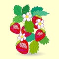 Five Strawberrys with Leaves