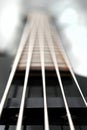 Five string bass guitar frets fretboard and strings Royalty Free Stock Photo