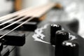 Five string bass guitar frets fretboard and strings volume and tone knobs Royalty Free Stock Photo