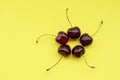 Five sweet cherries on yellow background