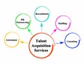 Talent Acquisition Services