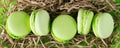 Five tasty pistachio cookies macaron, in a beautiful package