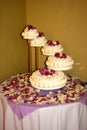 Five Tiered Wedding Cake Royalty Free Stock Photo