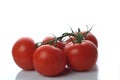 Five tomato twig Royalty Free Stock Photo