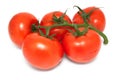 Five tomatoes on branch Royalty Free Stock Photo