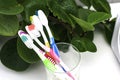 Five toothbrushes in a glass cup on the bathroom table against the background of a houseplant