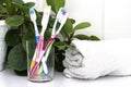 Five toothbrushes in a glass cup mouthwash and a rolled up towel on the dressing table against a backdrop of green foliage Royalty Free Stock Photo