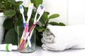 Five toothbrushes in a glass cup mouthwash a tube of toothpaste and a rolled up towel on the dressing table against a backdrop of