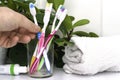 Five toothbrushes in a glass cup mouthwash a tube of toothpaste and a rolled up towel on the dressing table against a backdrop of Royalty Free Stock Photo