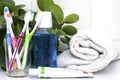 Five toothbrushes in a glass cup mouthwash a tube of toothpaste and a rolled up towel on the dressing table against a backdrop of