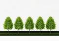 Five trees in a row Royalty Free Stock Photo