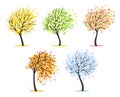 Five trees set Royalty Free Stock Photo