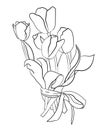 Five tulips tied with a ribbon, silhouette drawing