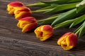 Five tulips with waterdrops on wood