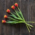 Five tulips on wooden background