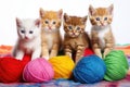 five various colors of kittens playing with yarn balls Royalty Free Stock Photo