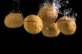 Five walnuts falls into the water with splashes and bubbles on a black background Royalty Free Stock Photo