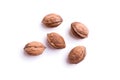Five walnuts Royalty Free Stock Photo