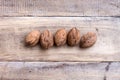 Five walnuts Royalty Free Stock Photo
