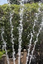 Five water sprays of a fountain