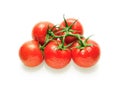 Five wet tomatoes on the branch Royalty Free Stock Photo