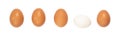 Five white and brown chicken eggs in a row isolated against a white background. Baner Royalty Free Stock Photo
