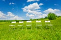 Five white chairs stand in a row on green grass Royalty Free Stock Photo