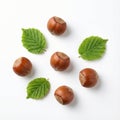five whole hazelnuts in shell scattered around three small green leaves on a plain white surface Royalty Free Stock Photo