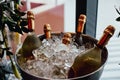 Five wine bottles chill in ice bucket Royalty Free Stock Photo