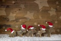 Five wooden handmade elk with red white santa hats on a backgrou